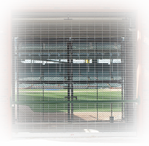 knothole